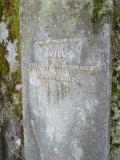 image of grave number 504509